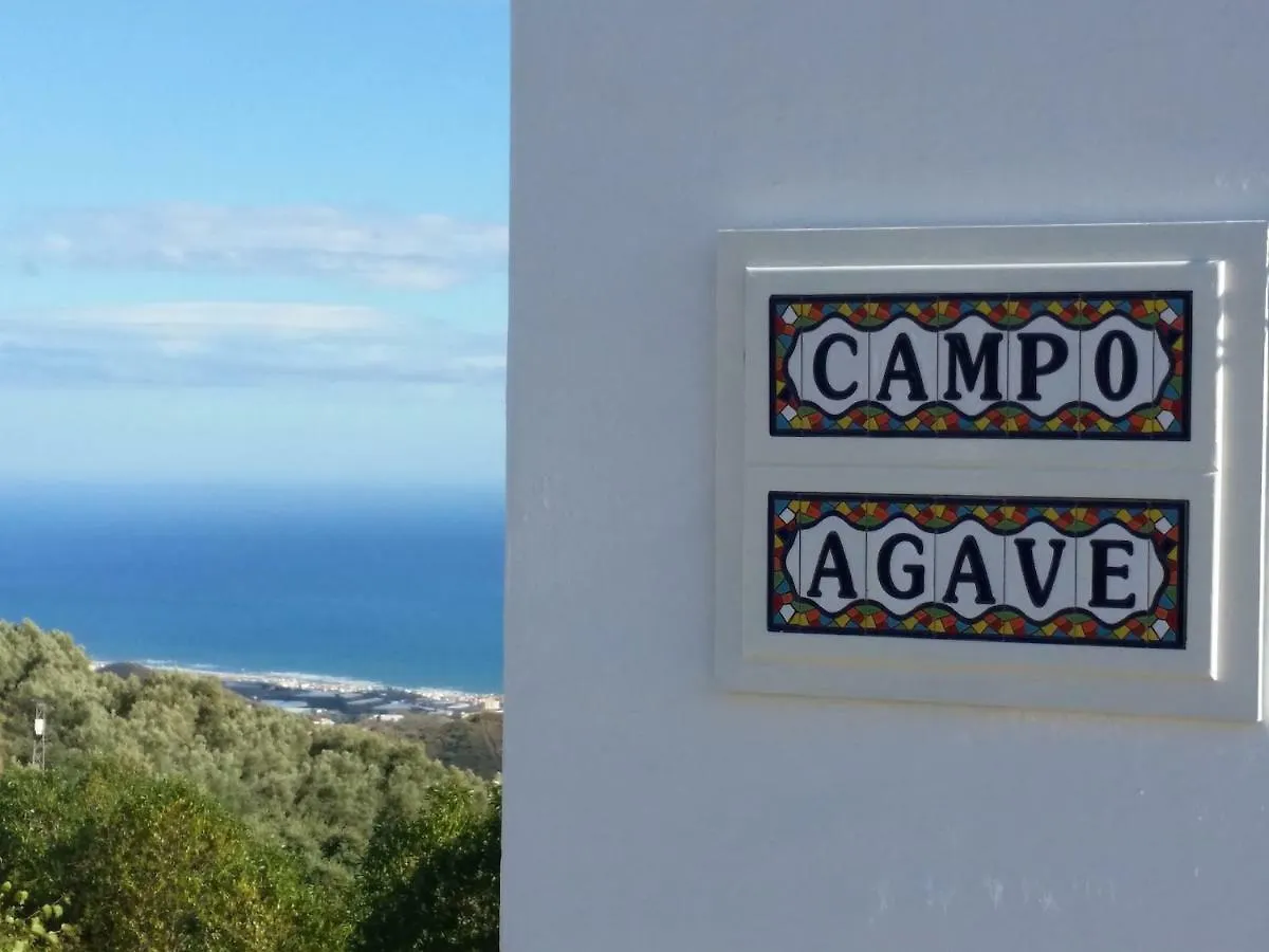 Campo Agave B&B Sayalonga